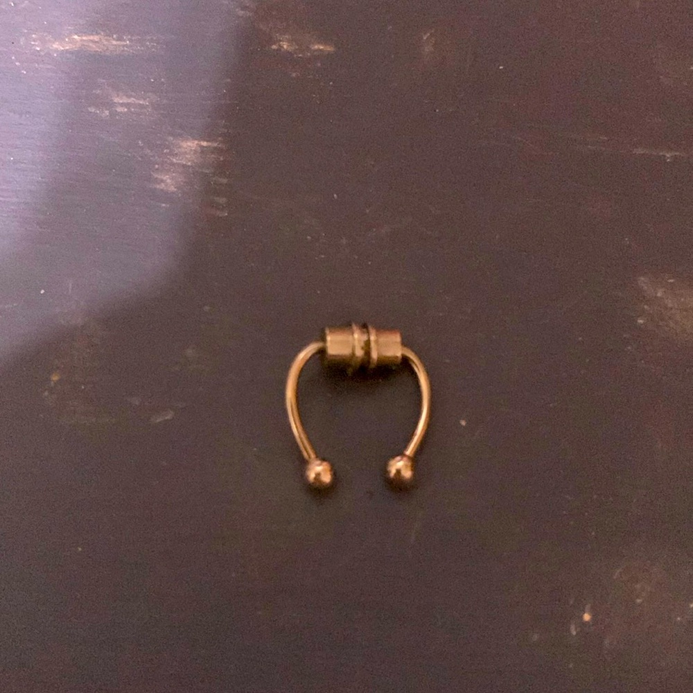 Magnetic Fake Septum Silver